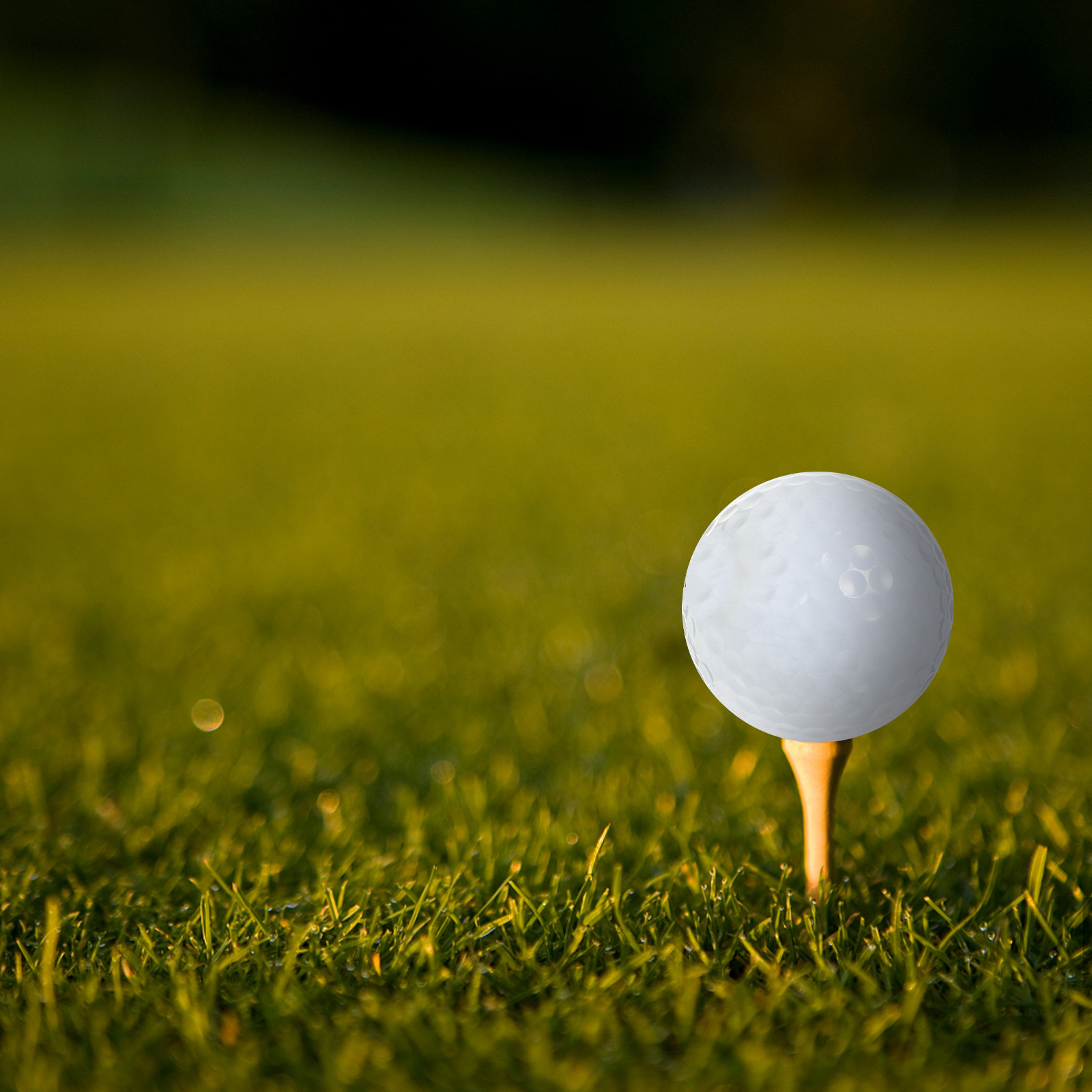 Golf Equipment Beginners - Golfbälle für den Innenbereich, Ausrüstung für